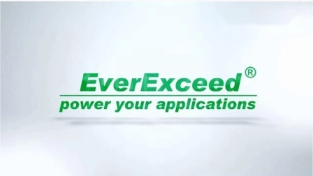 휠러 차량용 Everexceed 고성능 배터리 72V 30Ah 드라이브 배터리