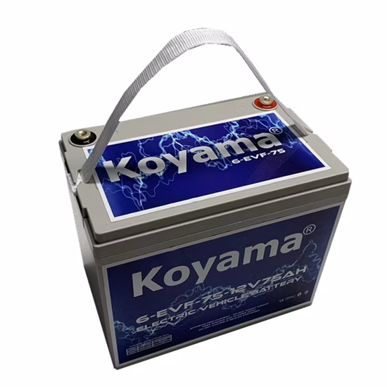12V 75ah 딥 사이클 원동력 Elektrofahrzeugbatterie 6-Evf-75